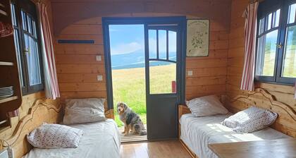 Cozy Caravan at Volcano Foot â Hiking with Donkey & Goat Available !