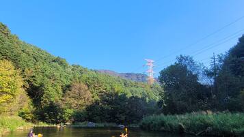 A calm river with kayaks, surrounded by dense forest and a power line tower in the background.
