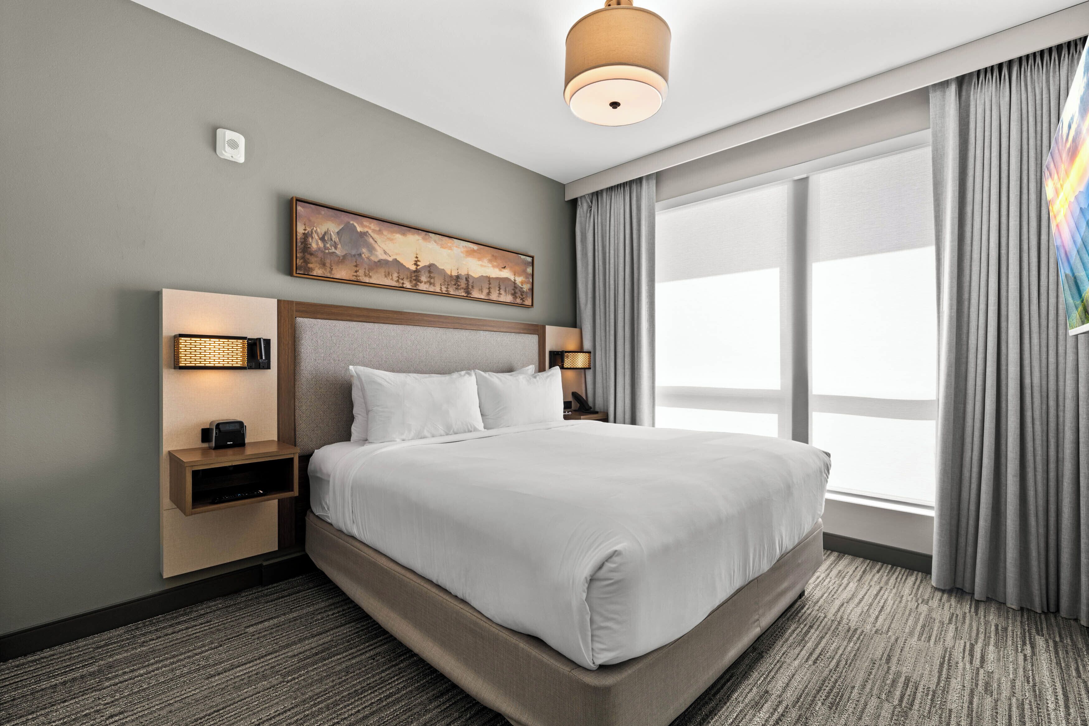 Deluxe Suite, 1 King Bed with Sofa bed, Kitchenette