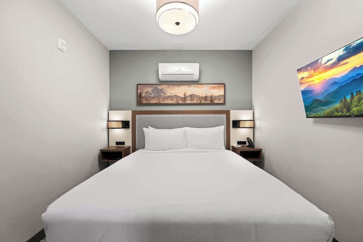 Ein Hotelzimmer mit einem großen Bett, einer Klimaanlage, einem Bild an der Wand und einem Fernseher.