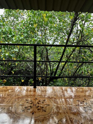 Apartment | Property grounds - Buddha Bliss in Arambol (Arambol)