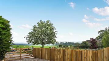 A wooden fence with a gate, gravel ground, and a tree in a rural setting.