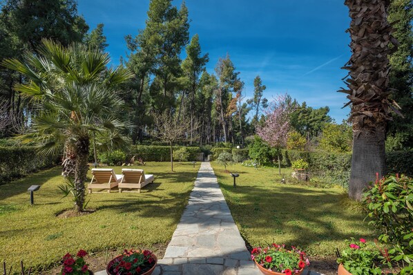 Garden - NG Pine Villa (Kassandra)