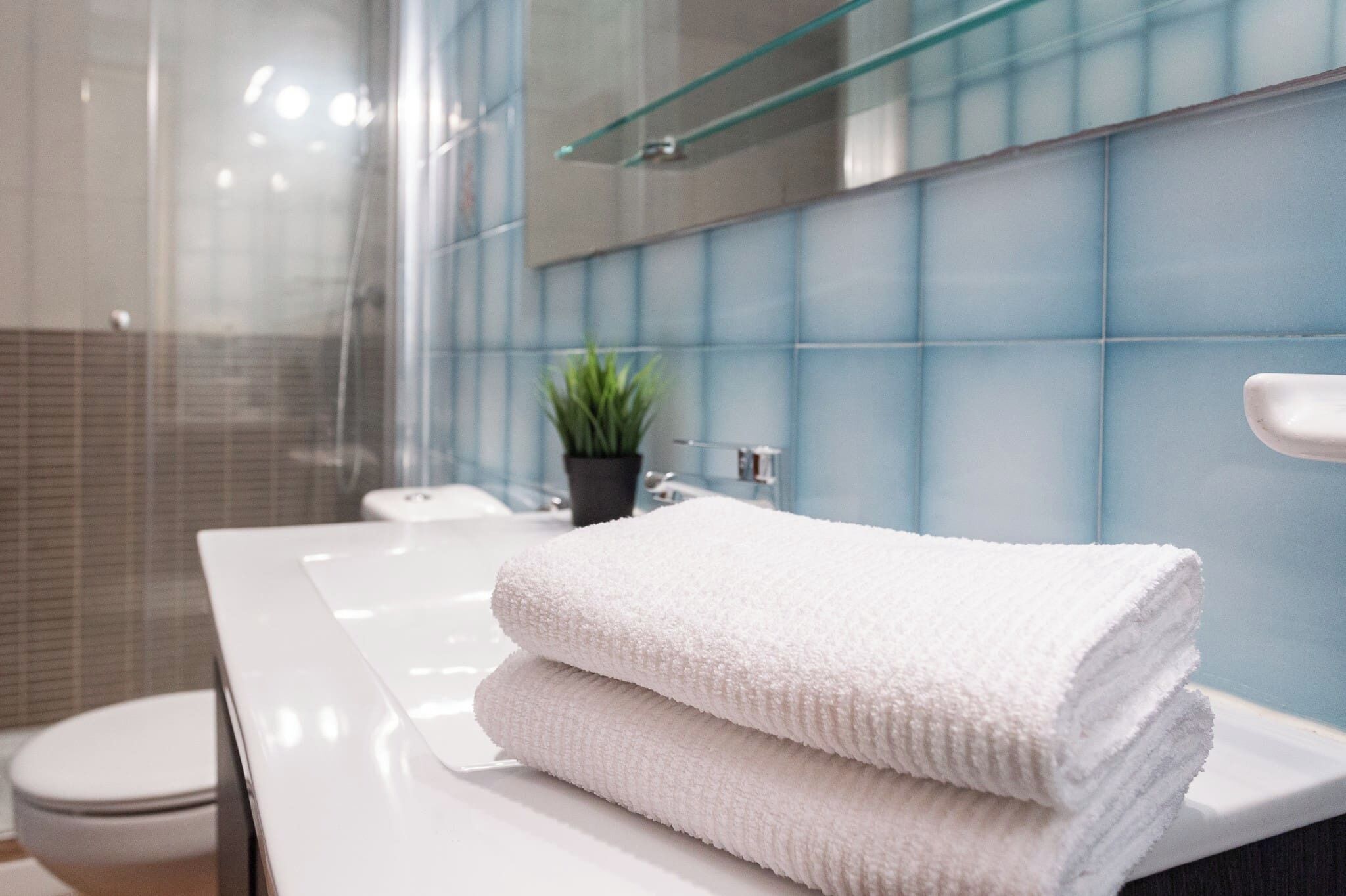 Shower, hair dryer