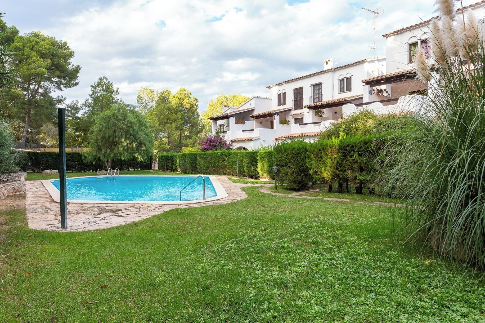 Une piscine entourée d’une pelouse bien entretenue et de haies, avec une grande maison en arrière-plan.