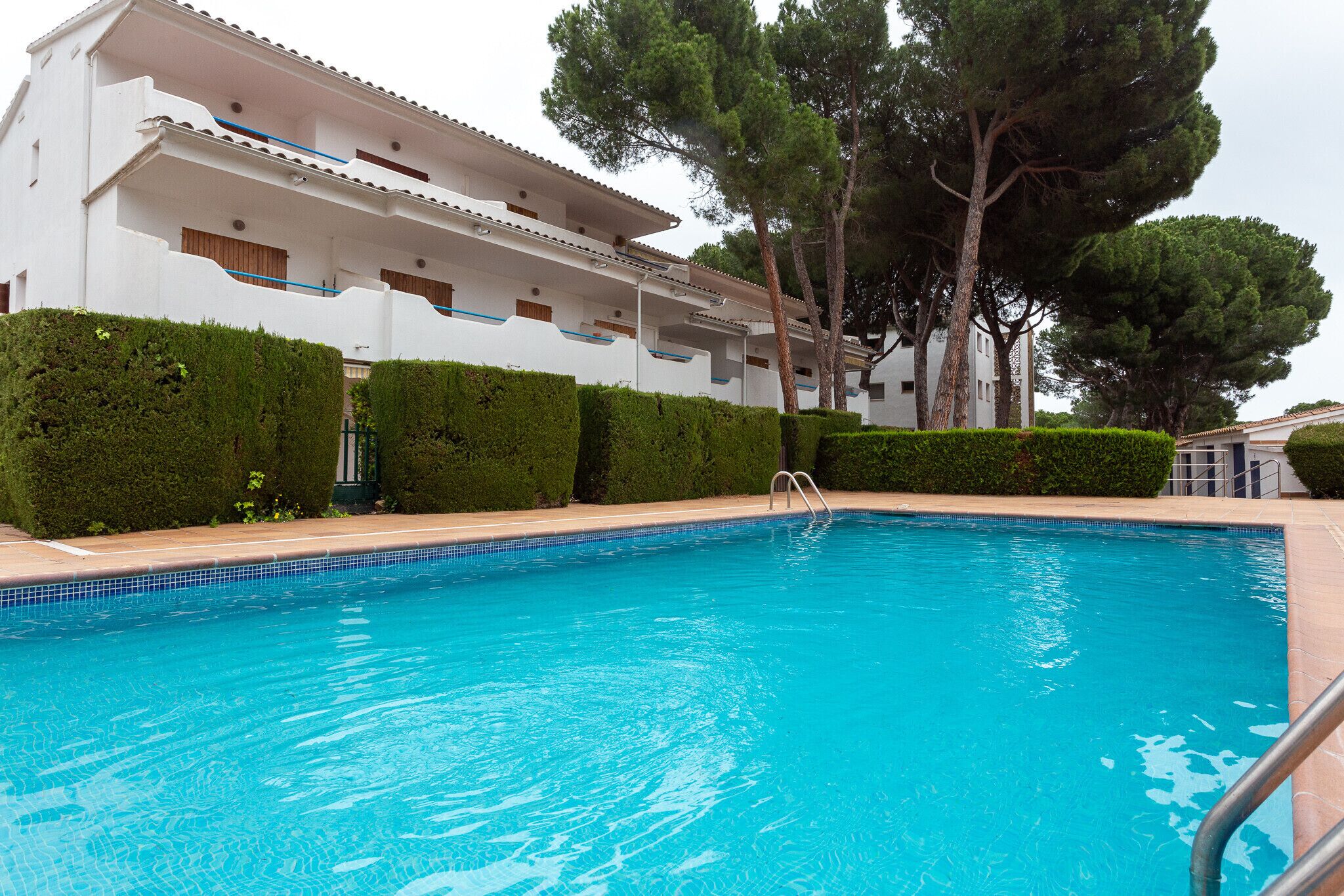 Une piscine à l’eau d’un bleu cristallin, entourée de haies soigneusement taillées et de grands arbres.