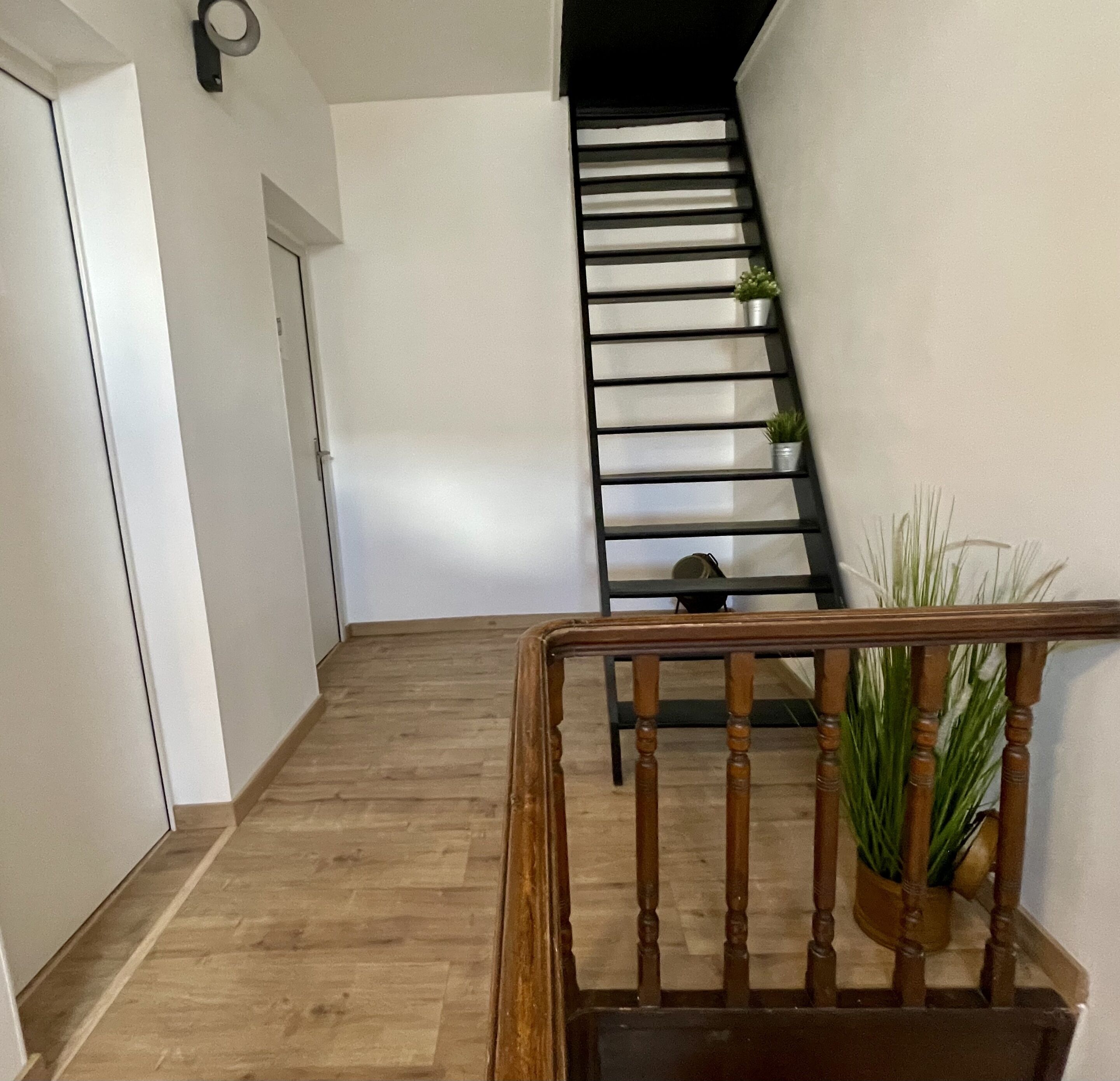 A wooden staircase with a handrail, a potted plant, and a white wall.
