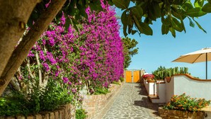A pathway lined with vibrant pink flowers and a cactus garden, leading to a building with a wooden door and a beige umbrella. - Villa Ambra by My Villa Collection (Casamicciola Terme)
