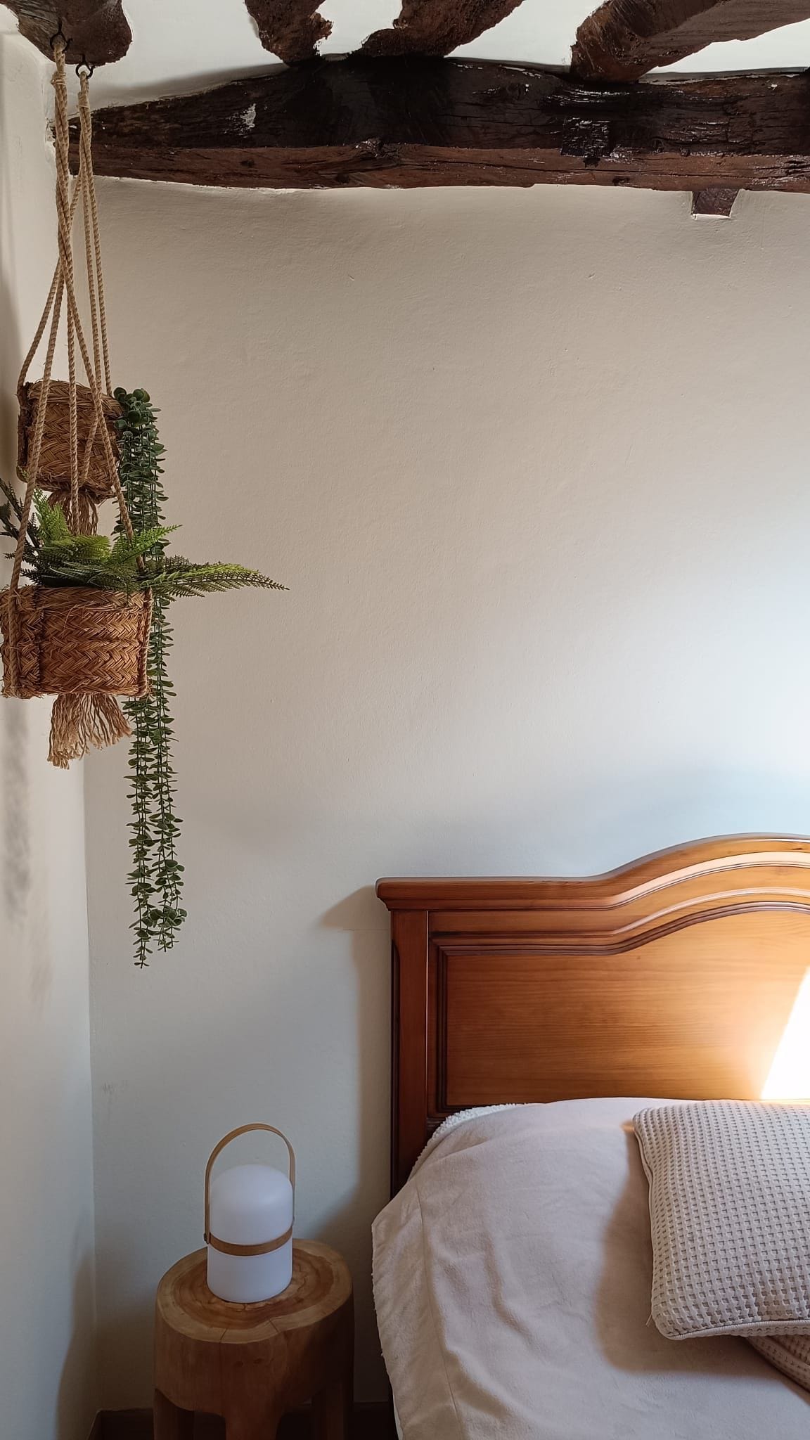 Un dormitorio con cabecera de madera, una planta colgante, una mesita de noche con lámpara y una cama con almohada blanca.