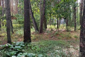 Property grounds - Przytulny domek w lesie 7 min od rzeki (Ryczywól)