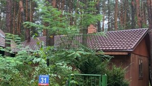 Una hilera de cabañas con techo de tejas, rodeadas por un bosque denso y árboles altos.