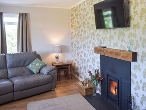 Fireplace - 3 bedroom accommodation in Pinmore, near Girvan (Pinmore, near Girvan)