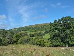 Unclassified image, 3 of 23, button