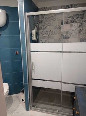Shower, hair dryer, bidet, towels