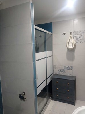 Shower, hair dryer, bidet, towels