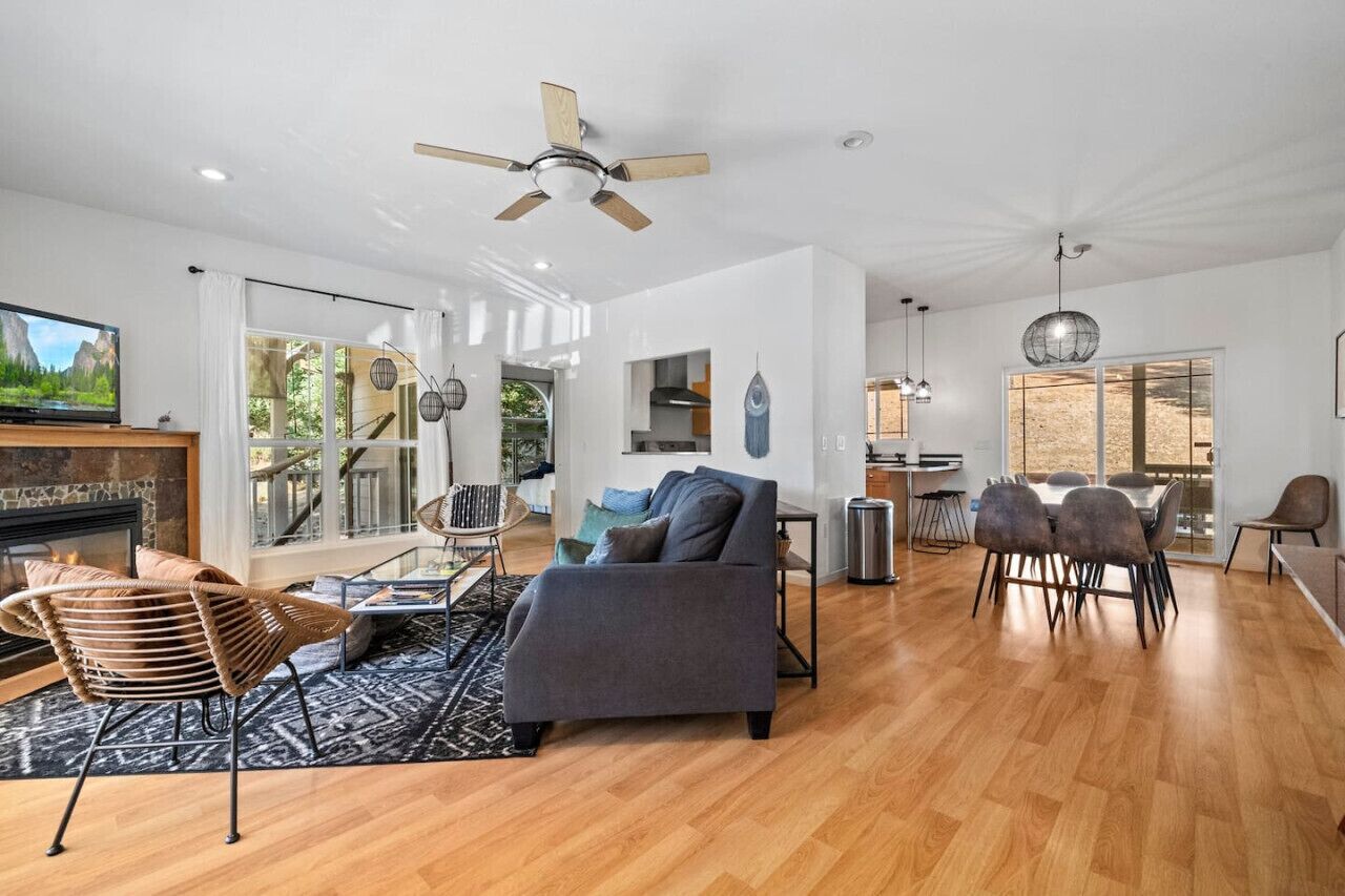 TV, fireplace, books