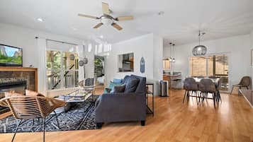 TV, fireplace, books