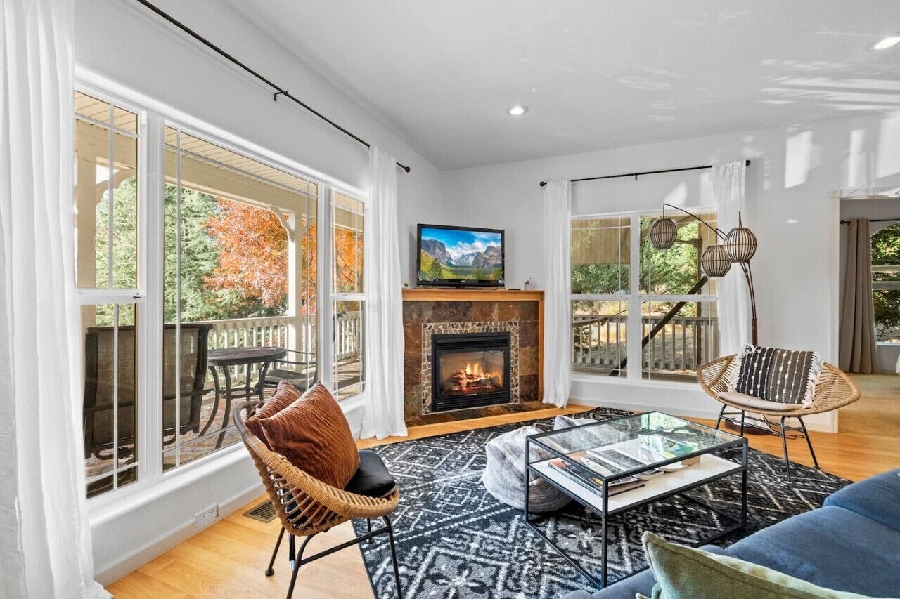 TV, fireplace, books