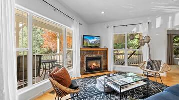 TV, fireplace, books