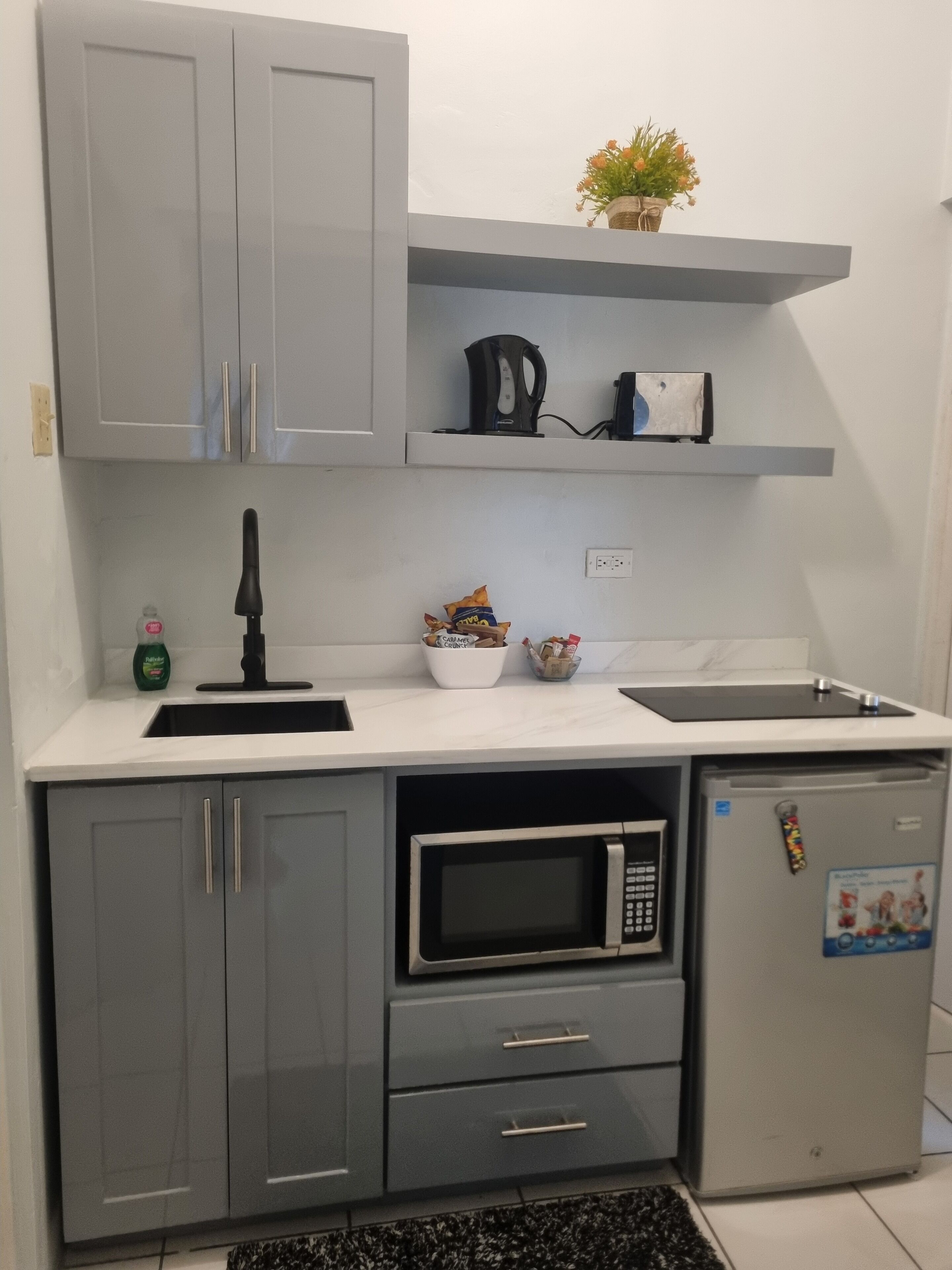 Réfrigérateur, micro-ondes, plaque de cuisson, cafetière/bouilloire
