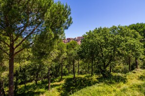 A forested area with a view of buildings in the distance.