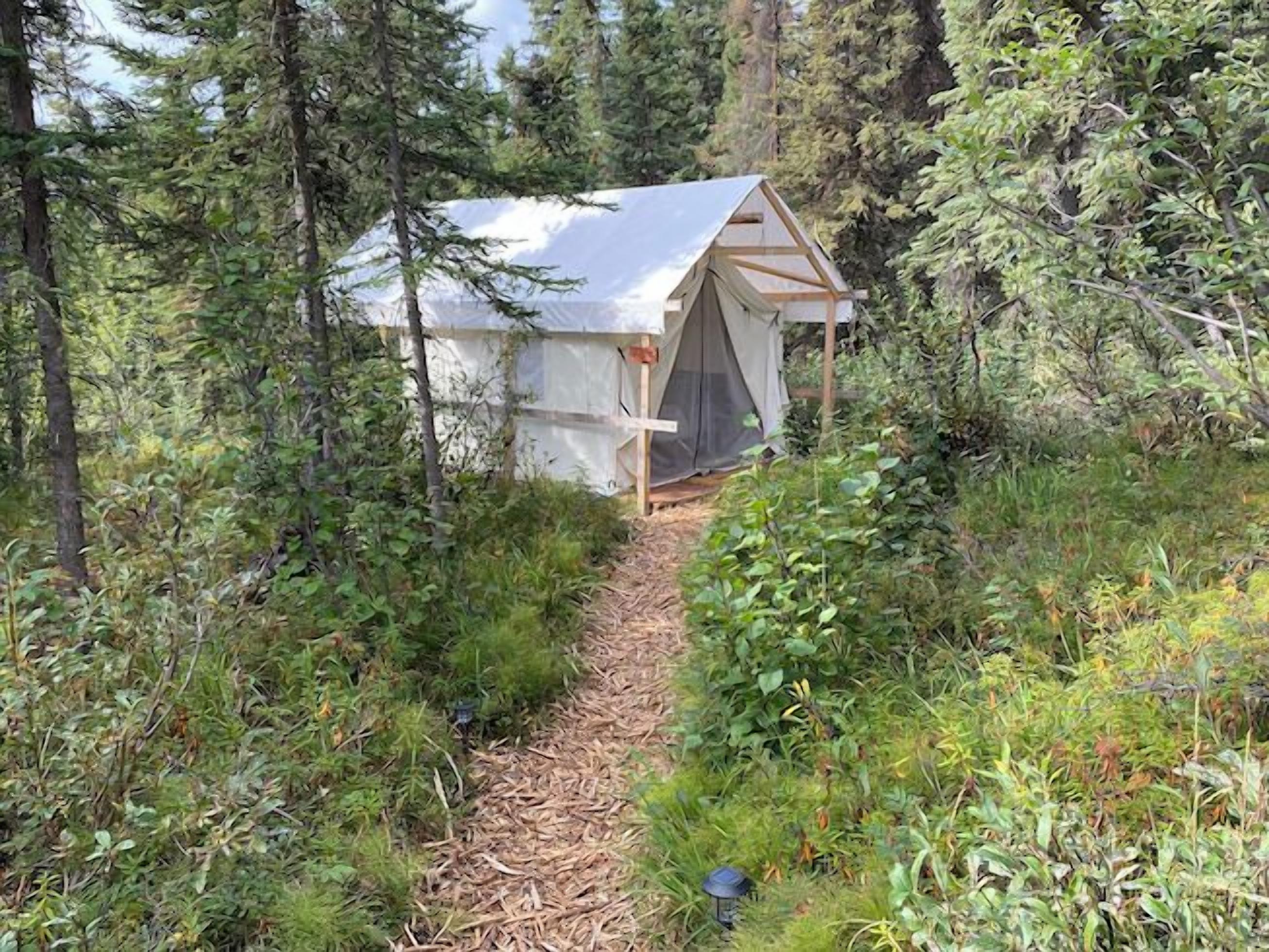 Una cabaña pequeña y rústica, de diseño sencillo y abierto, rodeada de un bosque denso.
