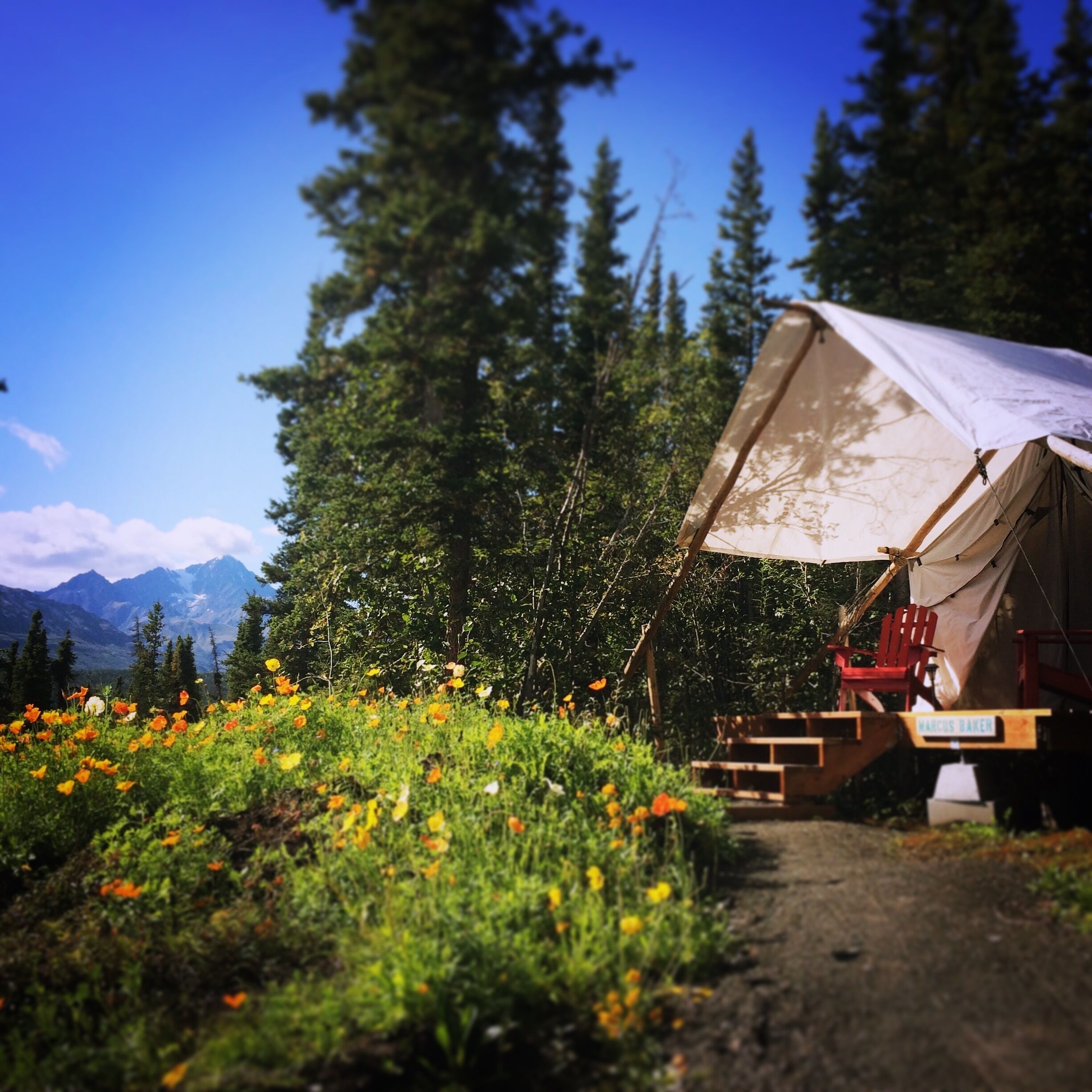 A tent set up in a natural landscape with mountains in the background.