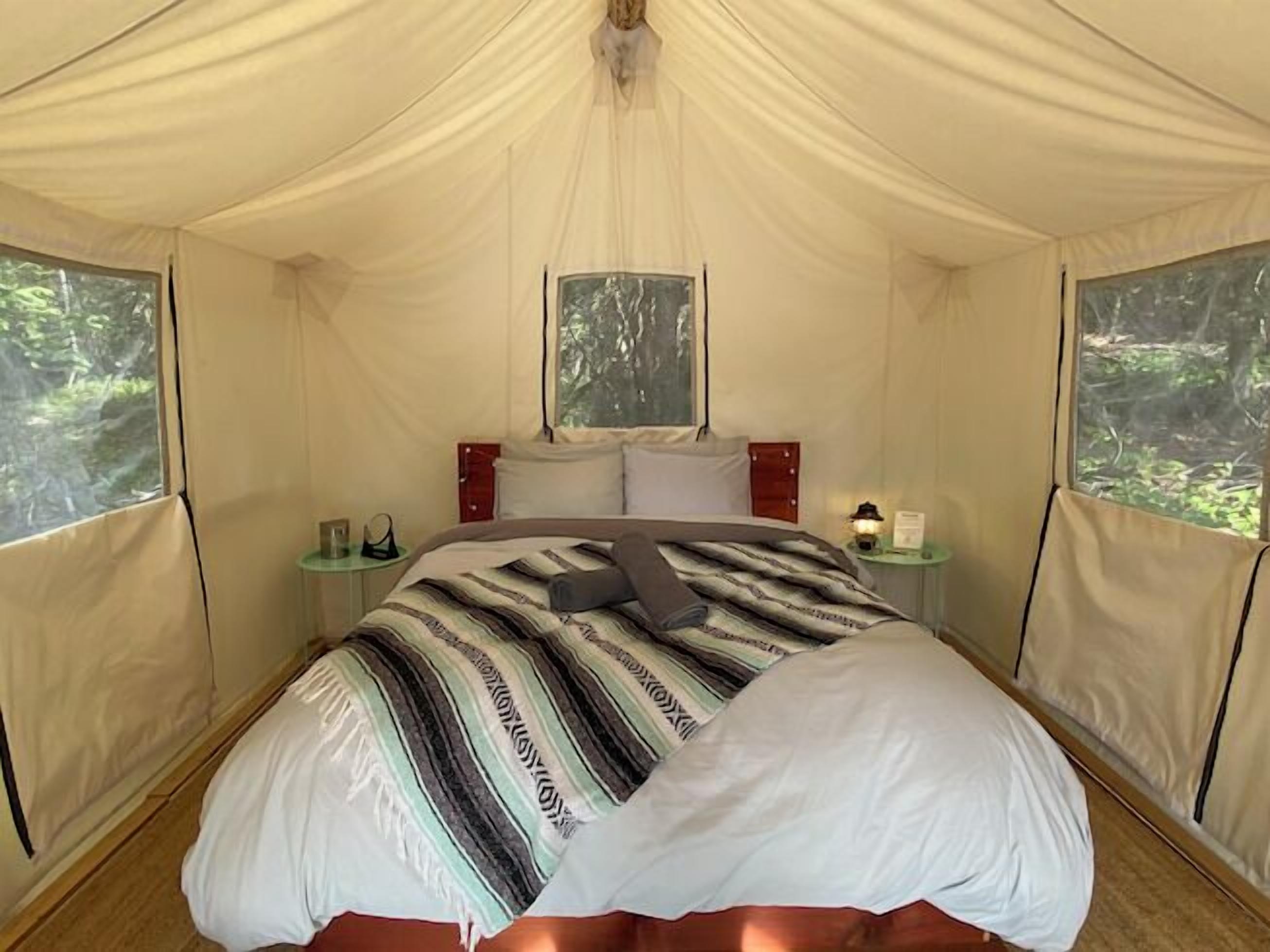 Una habitación con carpa, una cama, una ventana y una mesita de noche pequeña con una lámpara.