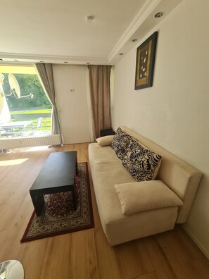 Flat-screen TV - 30N Apartment  (Kelmis)