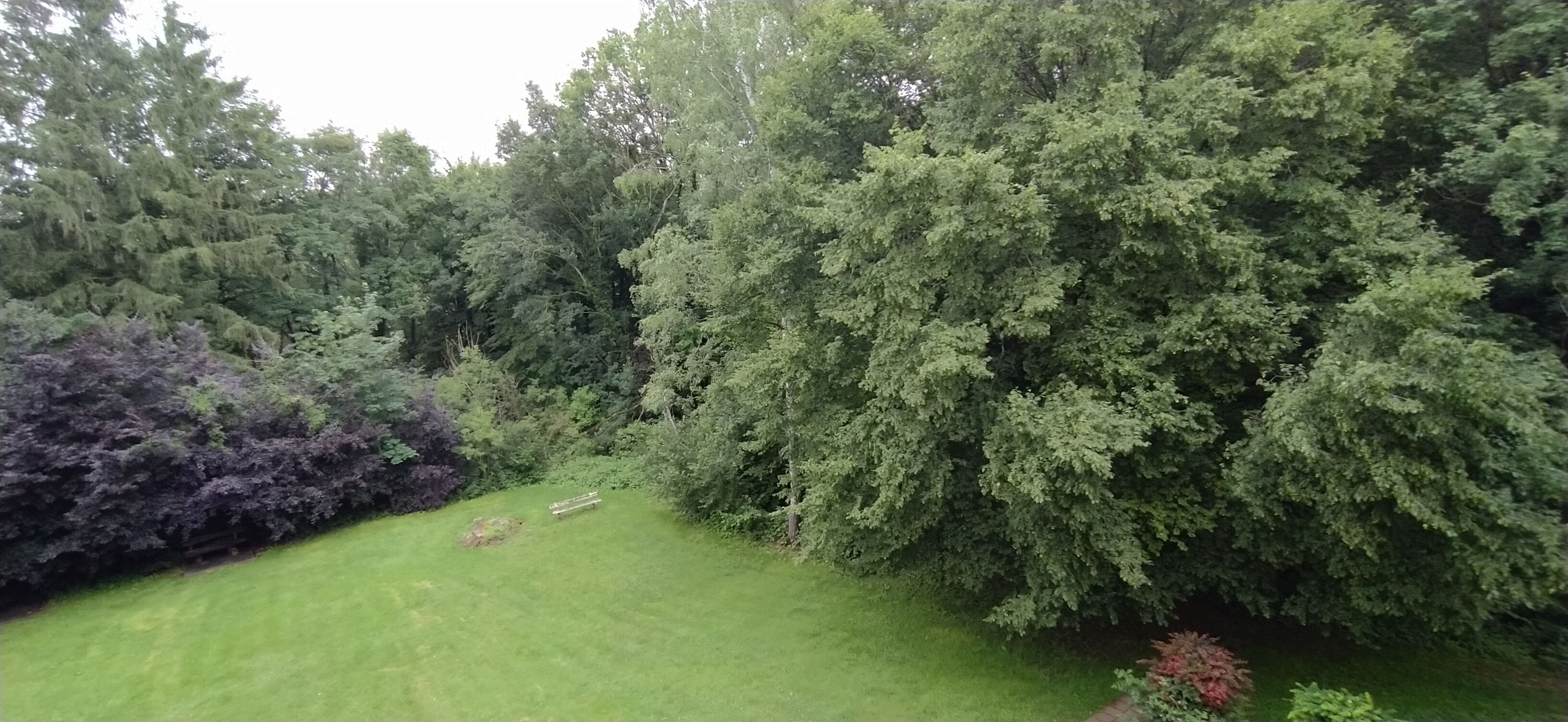 Een verzorgde tuin met diverse bomen en struiken, een gazon en een houten bank.