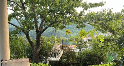 Clare's Garden_ Shelter for Weary Souls