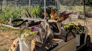 A vintage golf cart with a canopy, parked in a garden with various flowers and plants. - Cozy Tiny Home - Farm Stay - Near Qualicum Beach  (Qualicum Beach)