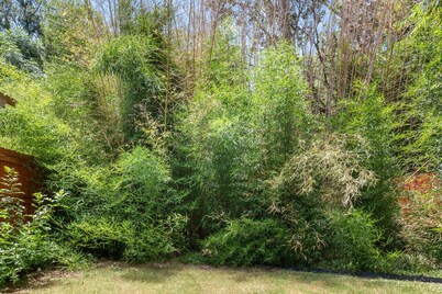 Bamboo Bungalow |5 Min to Silos/Downtown
