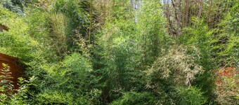 Bamboo Bungalow |5 Min to Silos/Downtown