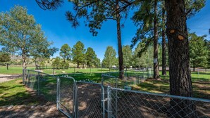 A fenced outdoor area with trees and a clear sky. - Pet Friendly | Dog Run | New Remodel | Wildlife (Alto)