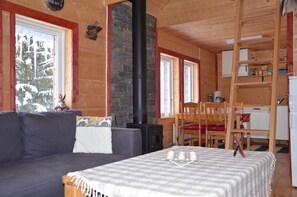 Télévision, cheminée