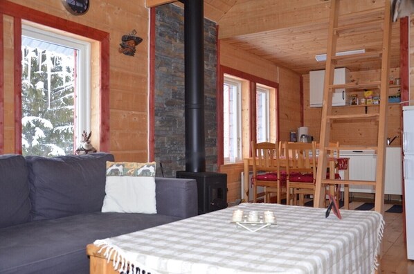 Télévision, cheminée