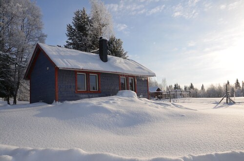 Holiday on a husky farm in the wilderness of Jämtland