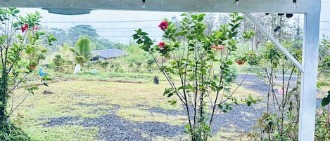 施設の敷地