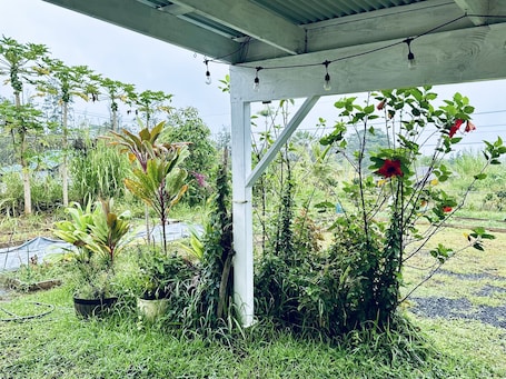 Property grounds. Kope Hale2 Lil Coffee Farm near Hilo & Volcano