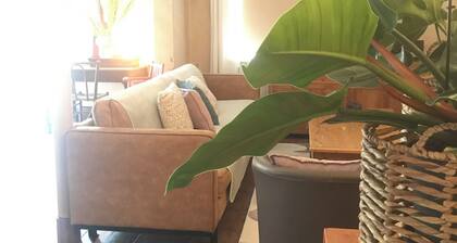 Spacious 6-bedroom house in charming Baarle-Hertog with large garden.