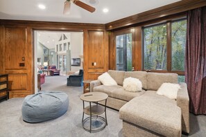 Smart TV, fireplace, books