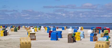 House | View from property