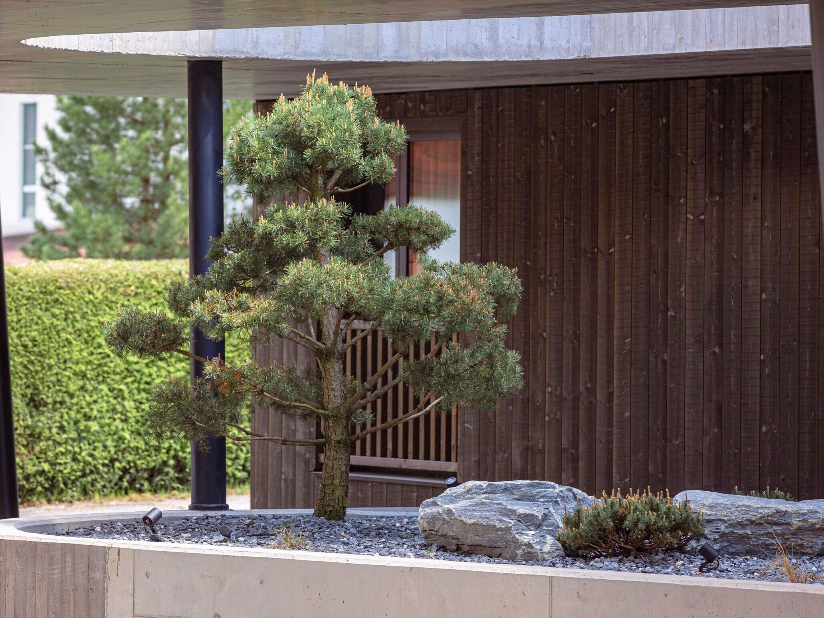 Departamento | Exterior