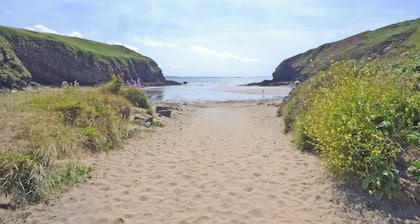 Nolton Haven - Giddy Puffin