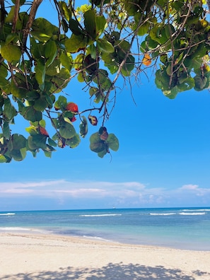 A beach with clear blue water and a sandy shore.