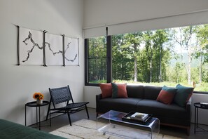 55-inch flat-screen TV with cable channels, tablet, Netflix - Coldbrook Bed and Breakfast (Bearsville)