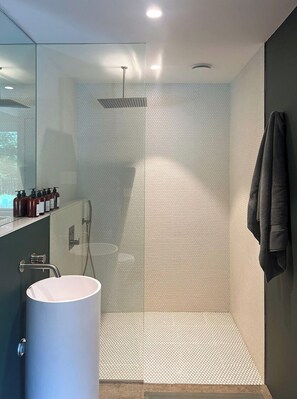Regadera, amenidades de baño ecológicas, secadora de cabello, toallas 