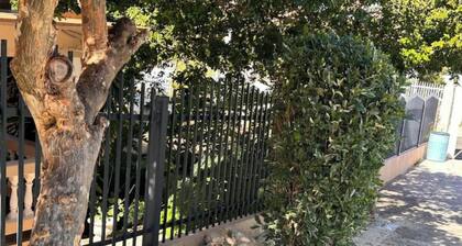 Ocean Breeze - Beach Escape