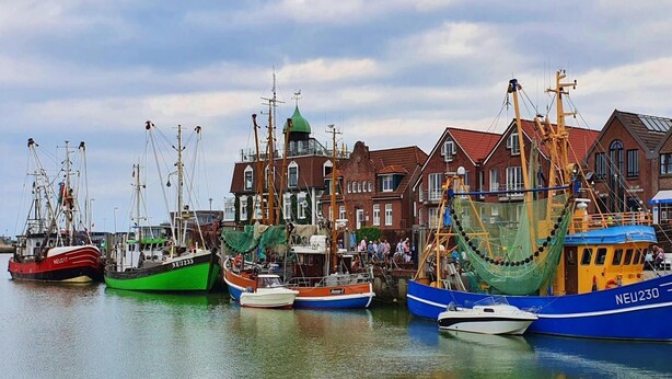 Un port où sont amarrés plusieurs bateaux de pêche, un bâtiment doté d’un toit végétalisé et d’une façade en briques.